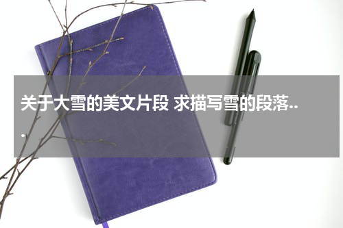 关于大雪的美文片段 求描写雪的段落...