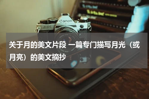 关于月的美文片段 一篇专门描写月光（或月亮）的美文摘抄