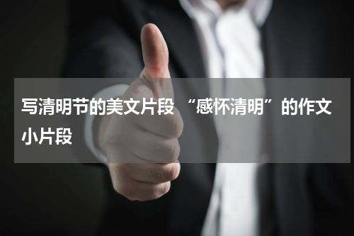写清明节的美文片段 “感怀清明”的作文小片段