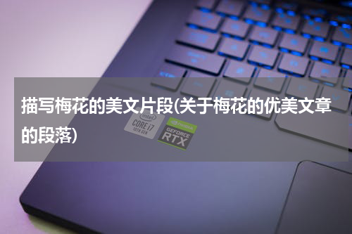 描写梅花的美文片段(关于梅花的优美文章的段落)