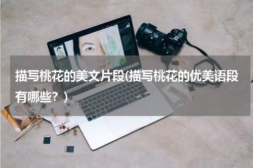 描写桃花的美文片段(描写桃花的优美语段有哪些？)