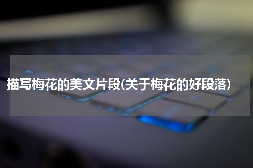 描写梅花的美文片段(关于梅花的好段落)