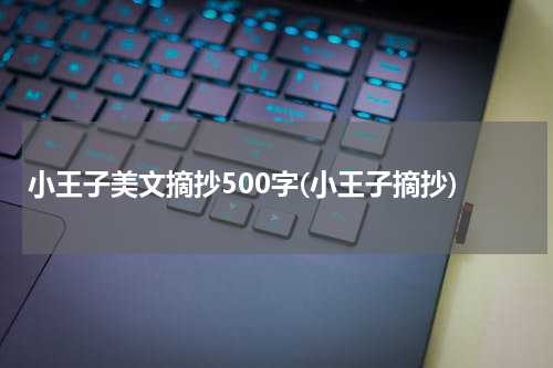 小王子美文摘抄500字(小王子摘抄)