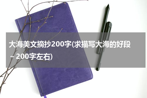 大海美文摘抄200字(求描写大海的好段～200字左右)
