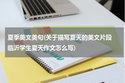 夏季美文美句(关于描写夏天的美文片段 临沂学生夏天作文怎么写)
