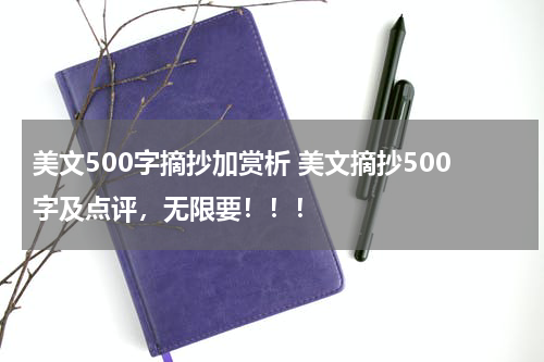 美文500字摘抄加赏析 美文摘抄500字及点评，无限要！！！