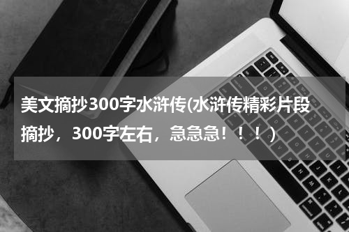 美文摘抄300字水浒传(水浒传精彩片段摘抄，300字左右，急急急！！！)