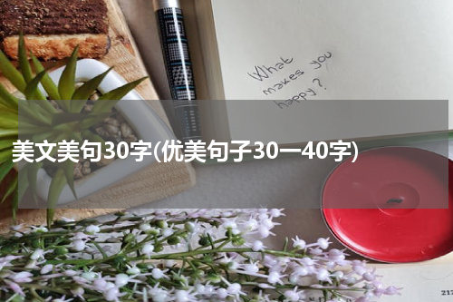 美文美句30字(优美句子30一40字)