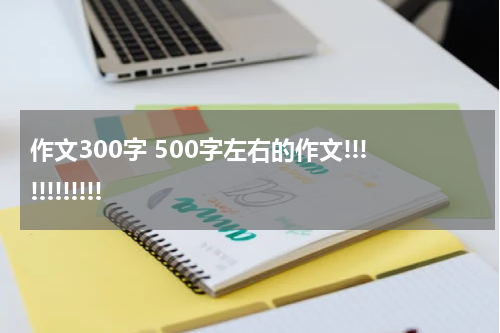 作文300字 500字左右的作文!!!!!!!!!!!!