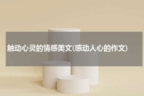 触动心灵的情感美文(感动人心的作文)