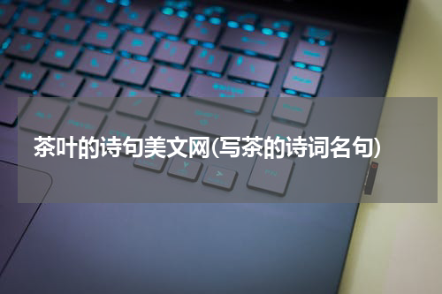 茶叶的诗句美文网(写茶的诗词名句)