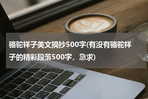 骆驼祥子美文摘抄500字(有没有骆驼祥子的精彩段落500字，急求)