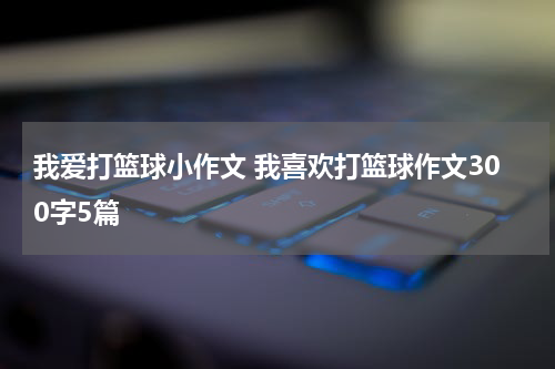 我爱打篮球小作文 我喜欢打篮球作文300字5篇