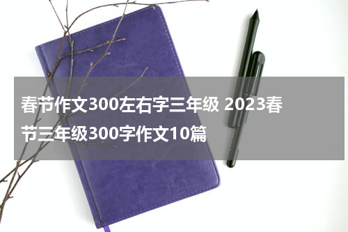 春节作文300左右字三年级 2023春节三年级300字作文10篇
