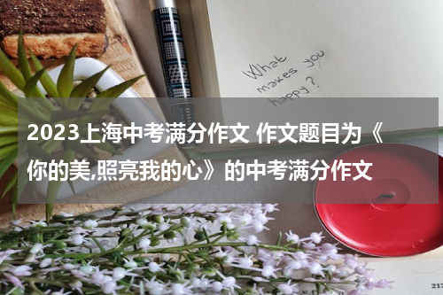2023上海中考满分作文 作文题目为《你的美,照亮我的心》的中考满分作文