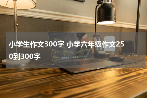 小学生作文300字 小学六年级作文250到300字