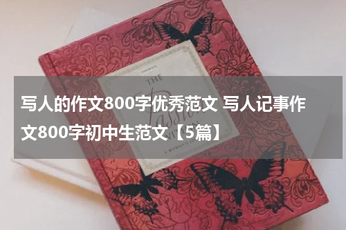写人的作文800字优秀范文 写人记事作文800字初中生范文【5篇】