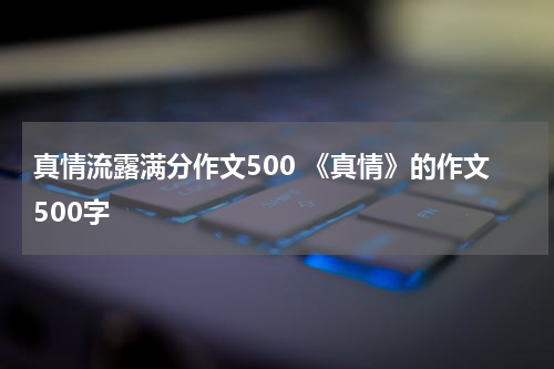 真情流露满分作文500 《真情》的作文500字