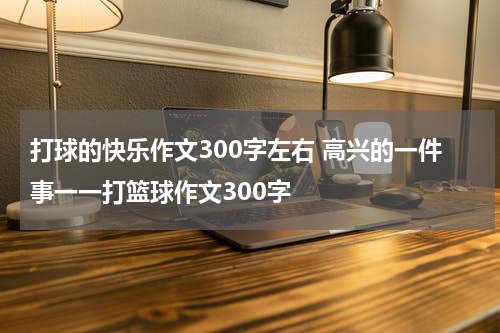 打球的快乐作文300字左右 高兴的一件事一一打篮球作文300字
