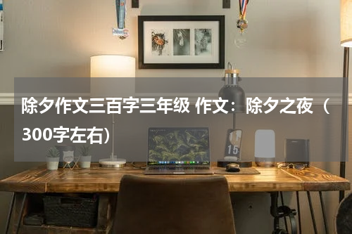 除夕作文三百字三年级 作文：除夕之夜（300字左右）
