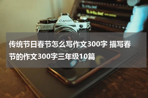 传统节日春节怎么写作文300字 描写春节的作文300字三年级10篇