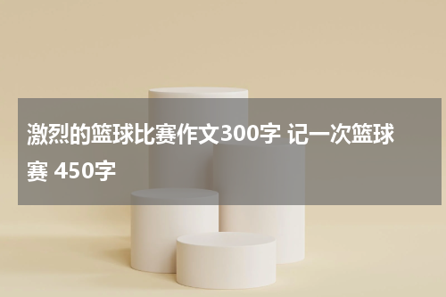 激烈的篮球比赛作文300字 记一次篮球赛 450字