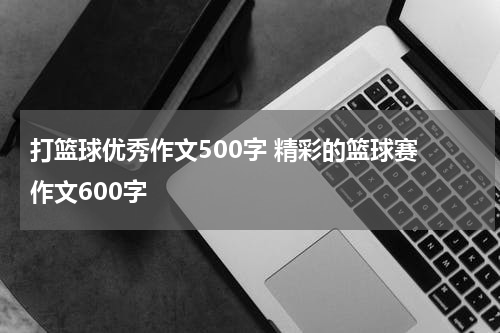 打篮球优秀作文500字 精彩的篮球赛 作文600字