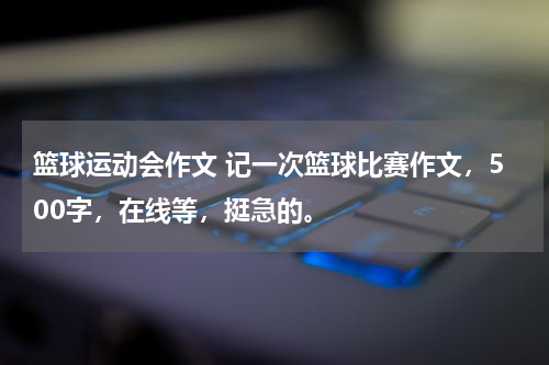 篮球运动会作文 记一次篮球比赛作文，500字，在线等，挺急的。