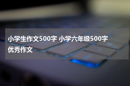 小学生作文500字 小学六年级500字优秀作文