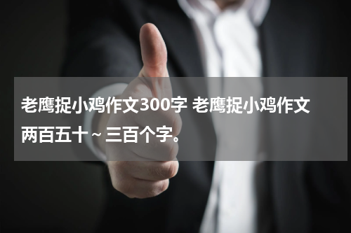 老鹰捉小鸡作文300字 老鹰捉小鸡作文两百五十～三百个字。