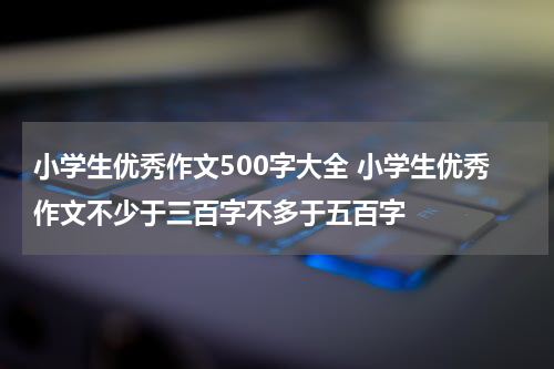 小学生优秀作文500字大全 小学生优秀作文不少于三百字不多于五百字