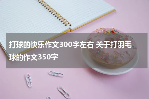 打球的快乐作文300字左右 关于打羽毛球的作文350字