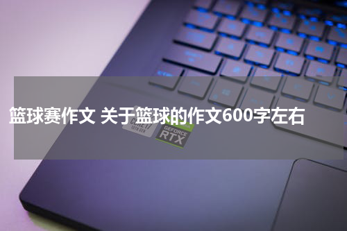 篮球赛作文 关于篮球的作文600字左右