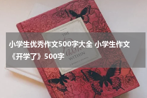 小学生优秀作文500字大全 小学生作文《开学了》500字