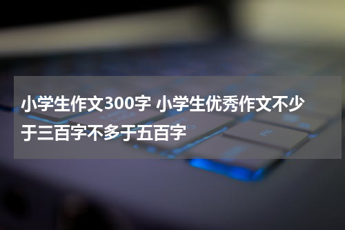 小学生作文300字 小学生优秀作文不少于三百字不多于五百字