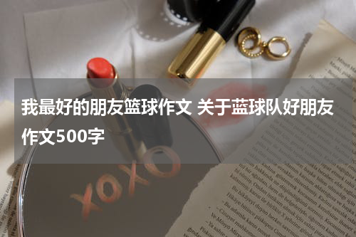 我最好的朋友篮球作文 关于蓝球队好朋友作文500字