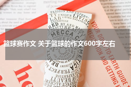 篮球赛作文 关于篮球的作文600字左右