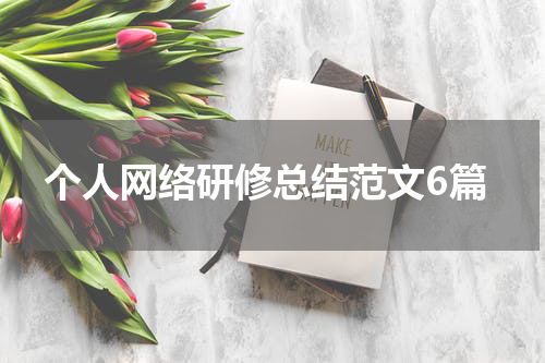 个人网络研修总结范文6篇