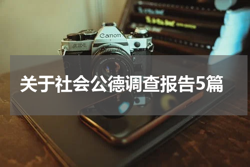 关于社会公德调查报告5篇