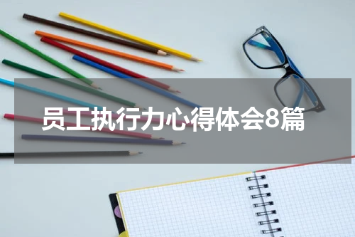 员工执行力心得体会8篇