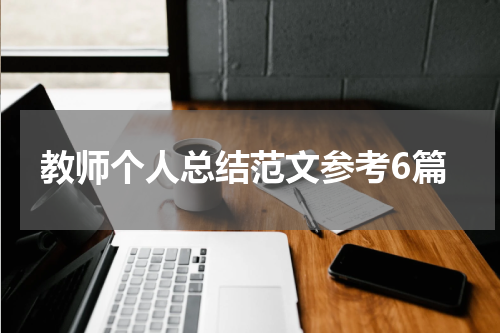 教师个人总结范文参考6篇
