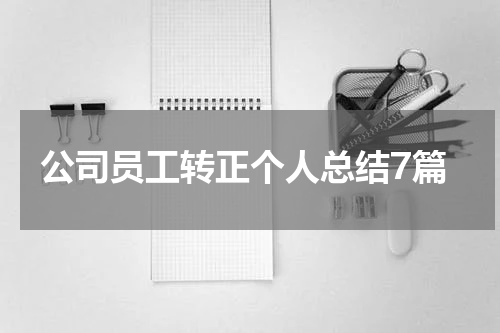 公司员工转正个人总结7篇