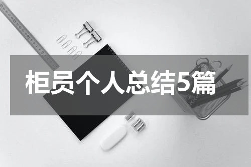 柜员个人总结5篇