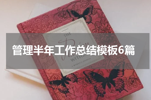 管理半年工作总结模板6篇
