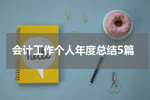 会计工作个人年度总结5篇