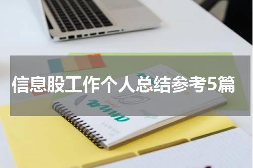 信息股工作个人总结参考5篇