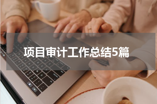 项目审计工作总结5篇