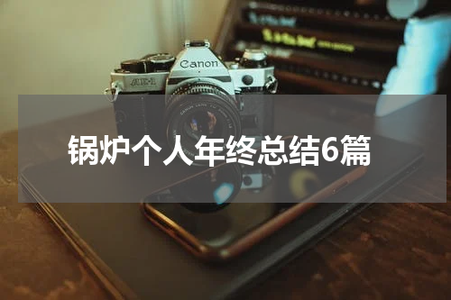 锅炉个人年终总结6篇