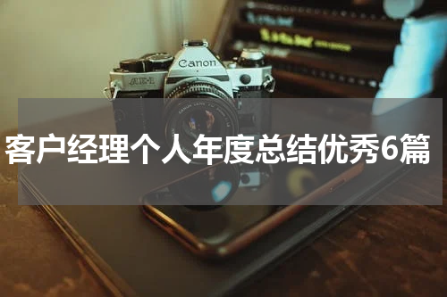 客户经理个人年度总结优秀6篇