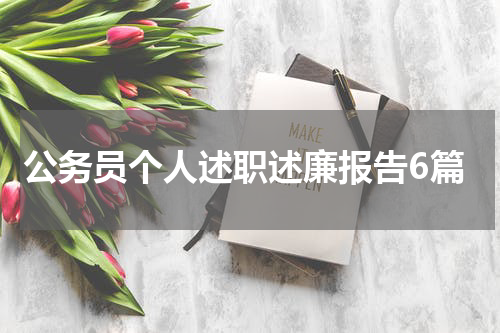 公务员个人述职述廉报告6篇